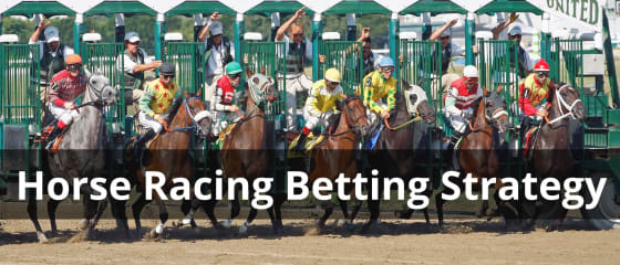 Strategia de pariuri pe curse de cai: sfaturi și trucuri pentru succes